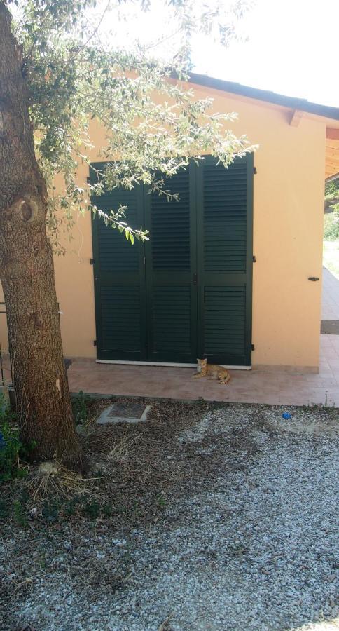 Agriturismo Ardizio 43 Pesaro Zewnętrze zdjęcie