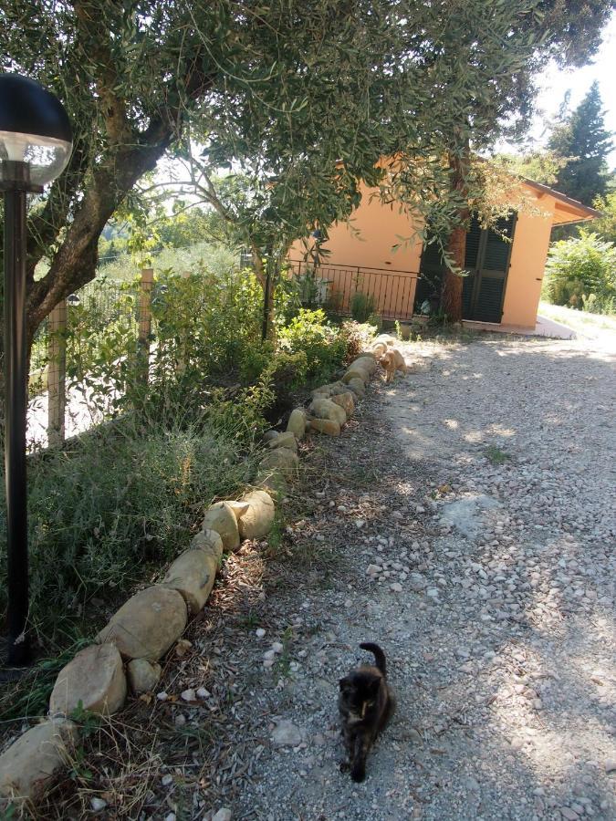 Agriturismo Ardizio 43 Pesaro Zewnętrze zdjęcie