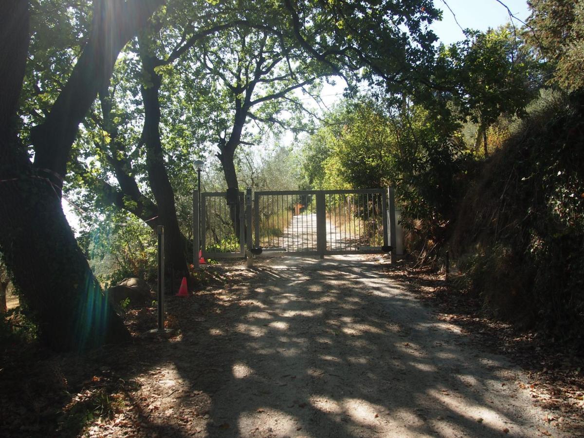 Agriturismo Ardizio 43 Pesaro Zewnętrze zdjęcie