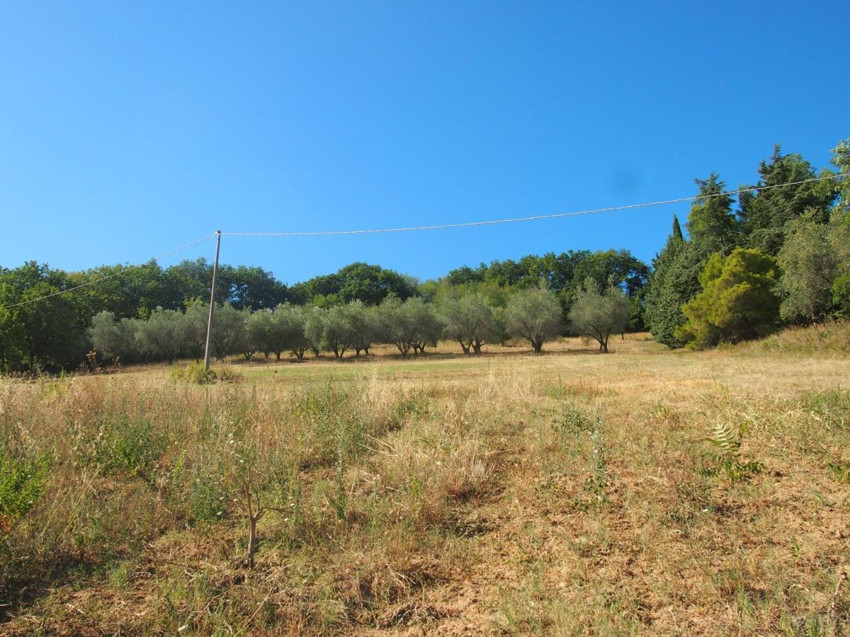 Agriturismo Ardizio 43 Pesaro Zewnętrze zdjęcie